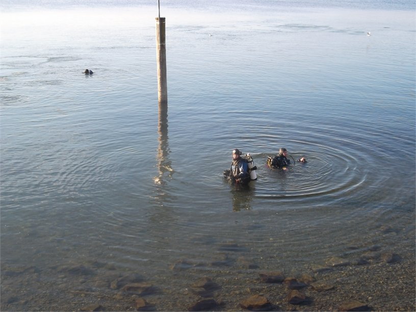 Dreikönigstauchen 2017