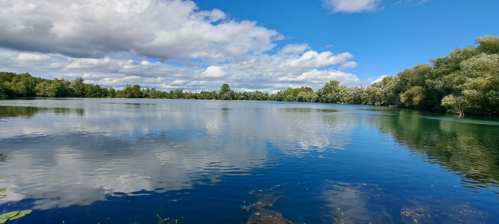 Blick über den See mit SUP-Boards am Steg