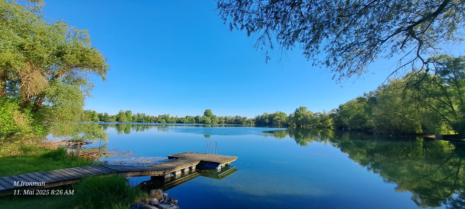 Grüne Wiese und Bäume am Vereinsgelände